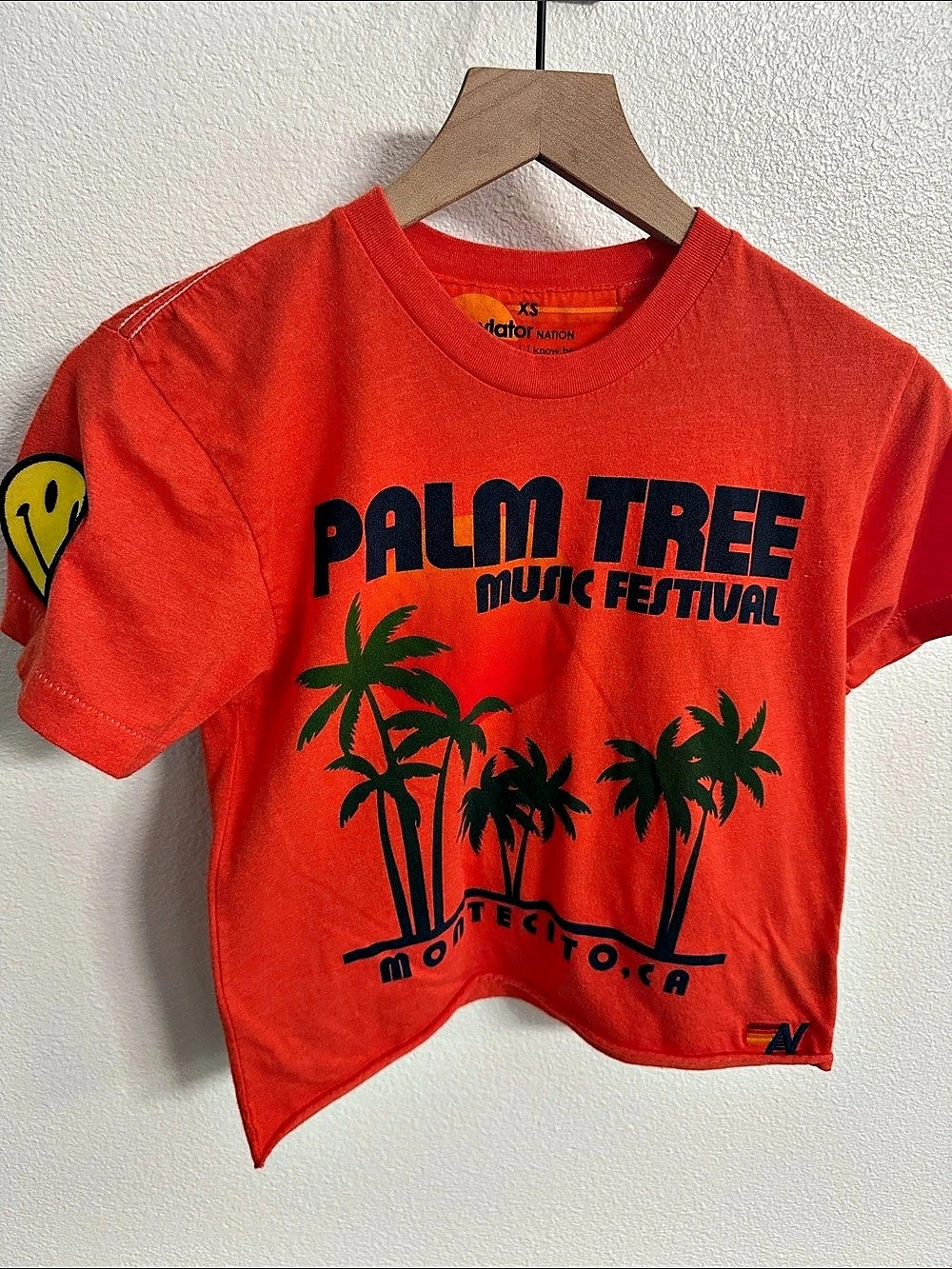Aviator Nation x Palm Tree Music Festival Montecito Crew Tee Palm Tree Music XS